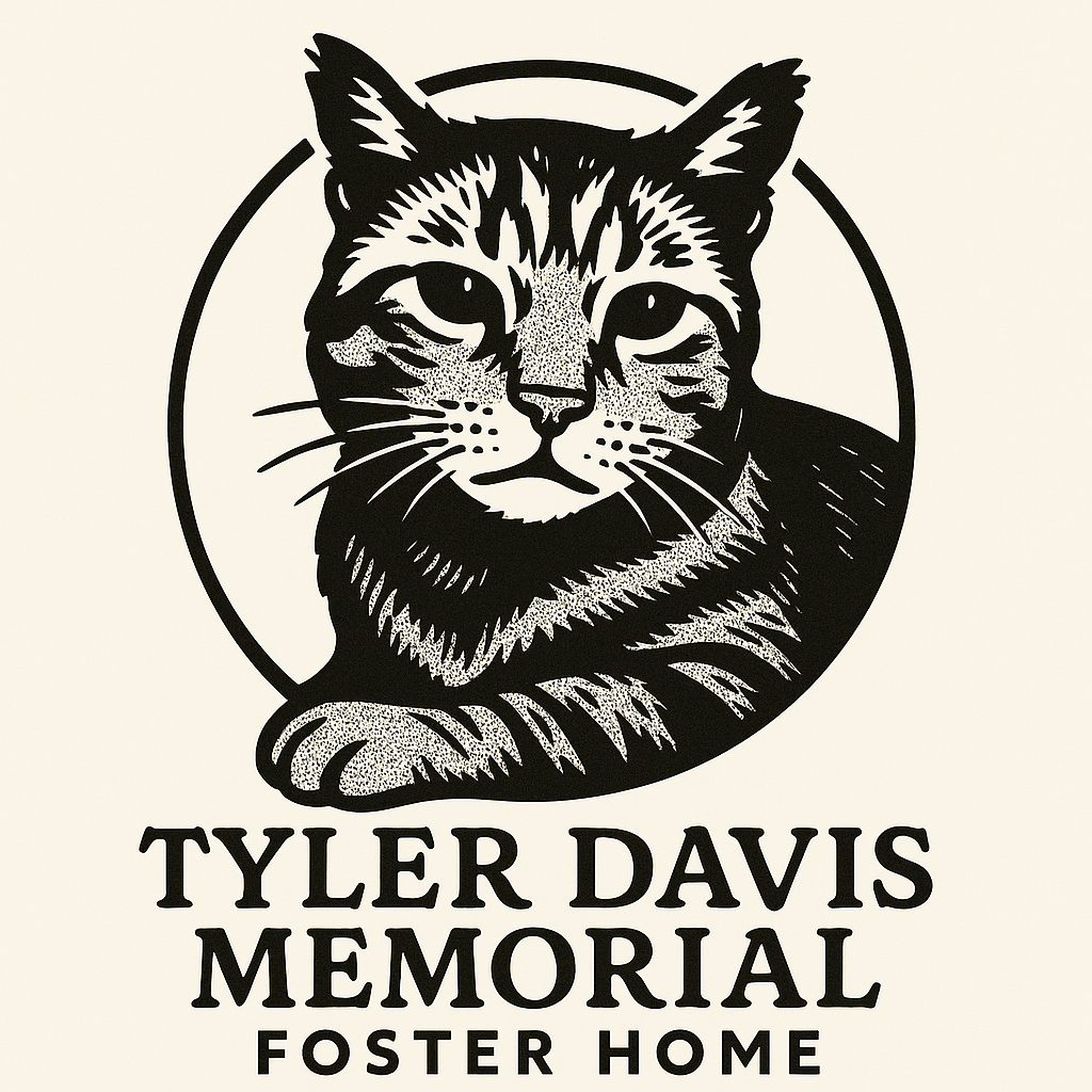 Tyler Davis Foster Home logo